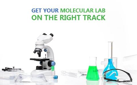 Making Slow Business Progress? Work Smarter & Get Your Molecular Lab on the Right Track